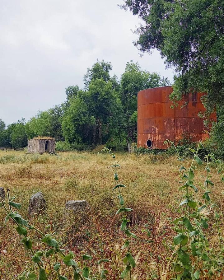 Posada Rural La Resinera La Adrada Luaran gambar