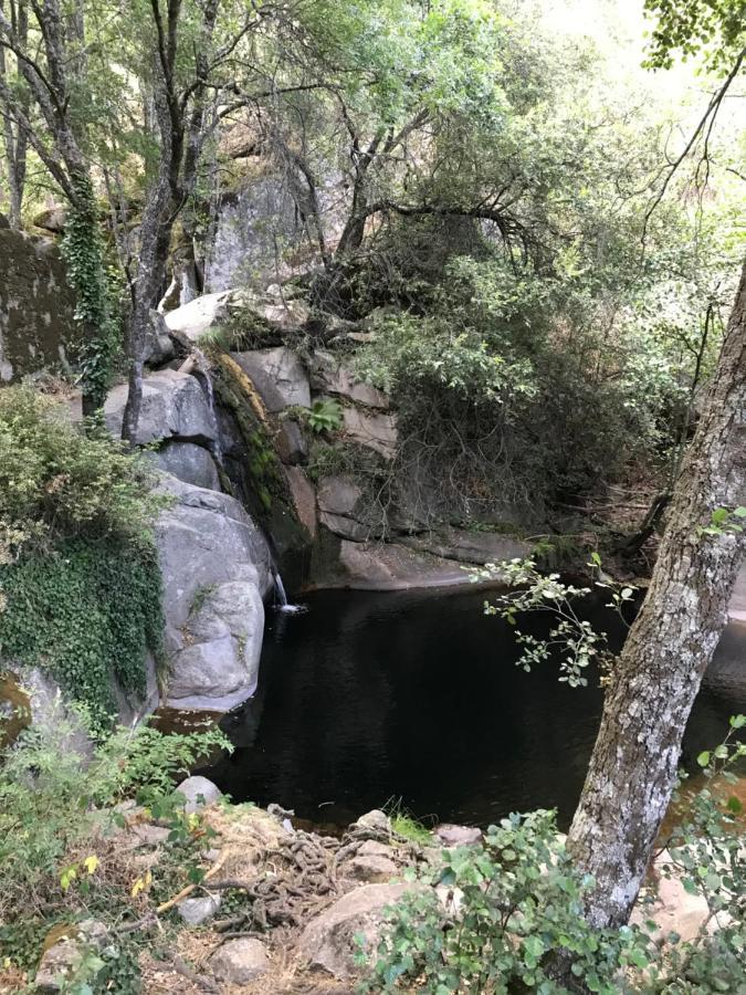 Posada Rural La Resinera La Adrada Luaran gambar