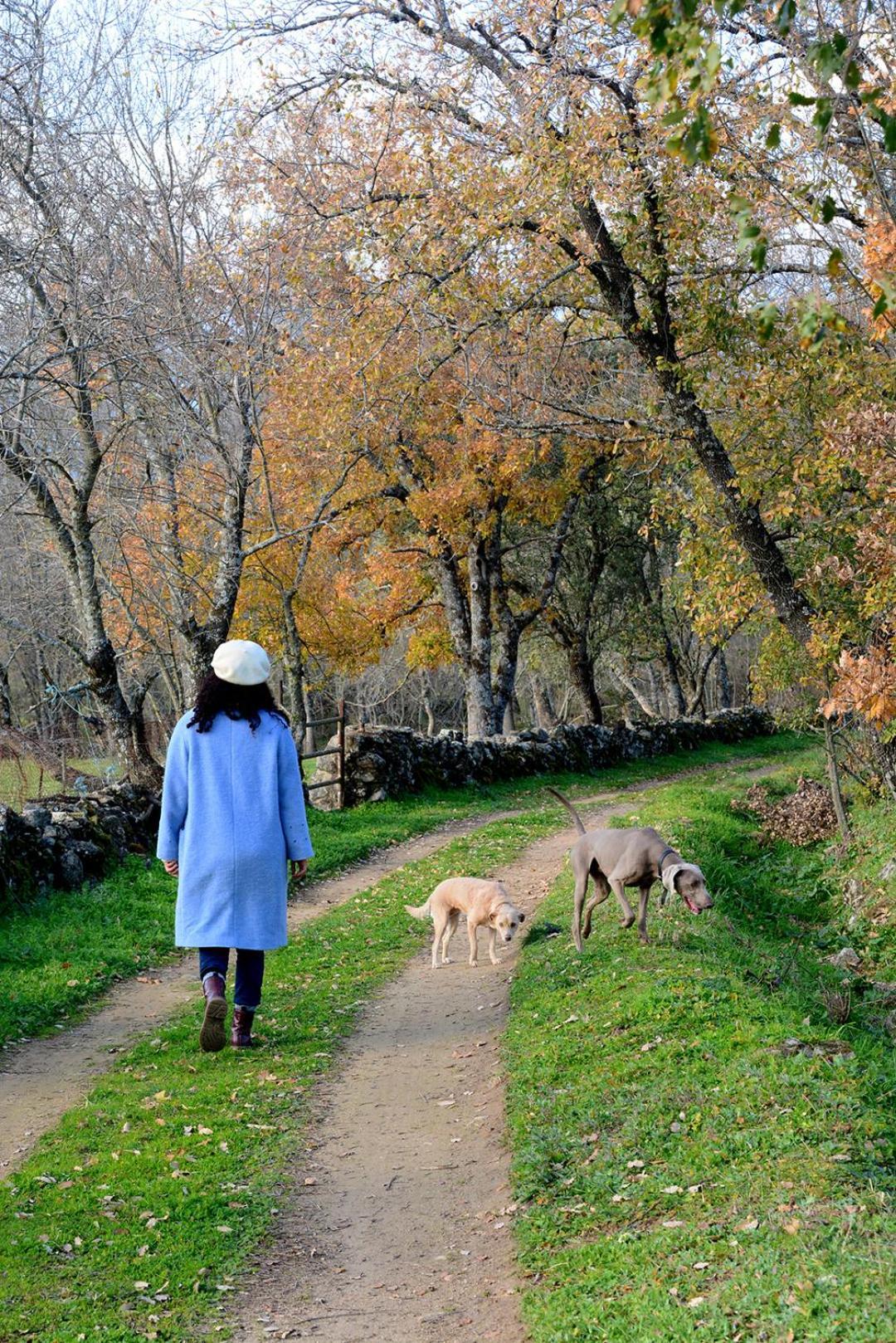 Posada Rural La Resinera La Adrada Luaran gambar