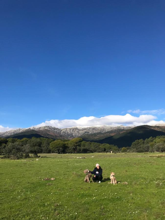 Posada Rural La Resinera La Adrada Luaran gambar
